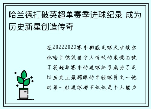 哈兰德打破英超单赛季进球纪录 成为历史新星创造传奇 哈兰德打破英超单赛季进球纪录 成为历史新星创造传奇