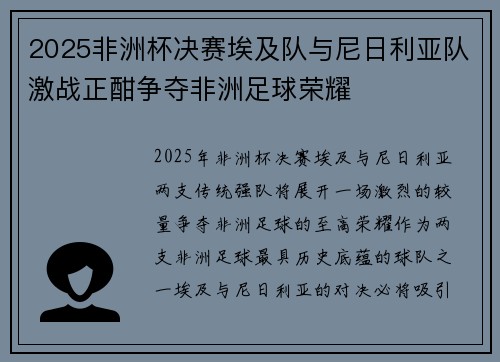 2025非洲杯决赛埃及队与尼日利亚队激战正酣争夺非洲足球荣耀